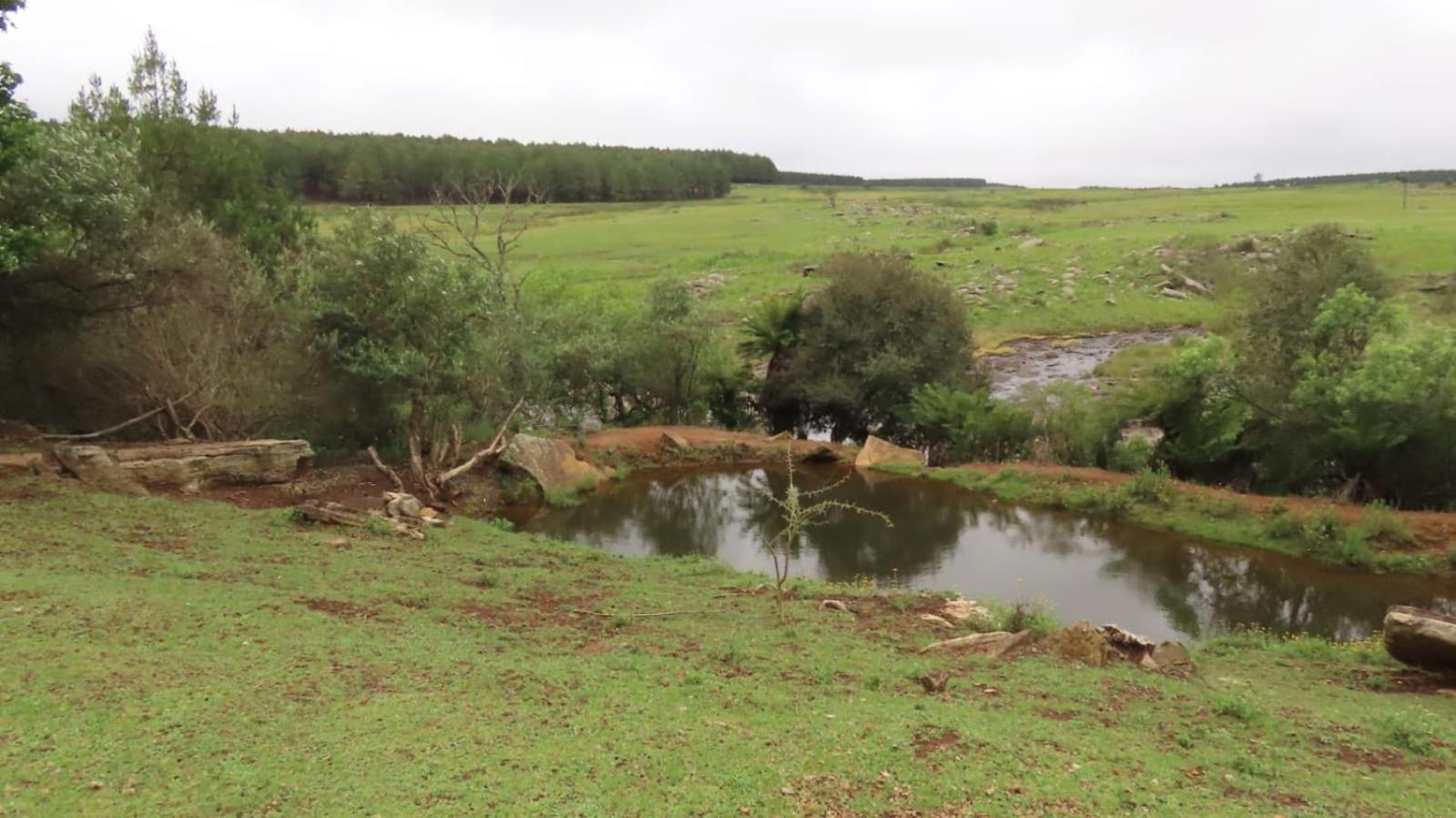 Lisbon Eco Lodge Graskop Luaran gambar